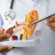 dokter spesialis THT Rembang