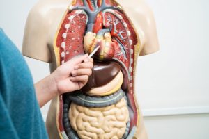 Dokter Spesialis Penyakit Dalam Kebumen, Ini Rekomendasinya