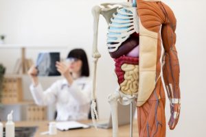 Jadwal Praktek 2 Dokter Spesialis Penyakit Dalam Rembang