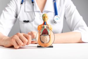 Dokter Spesialis Penyakit Dalam Tegal, Catat Jadwalnya!